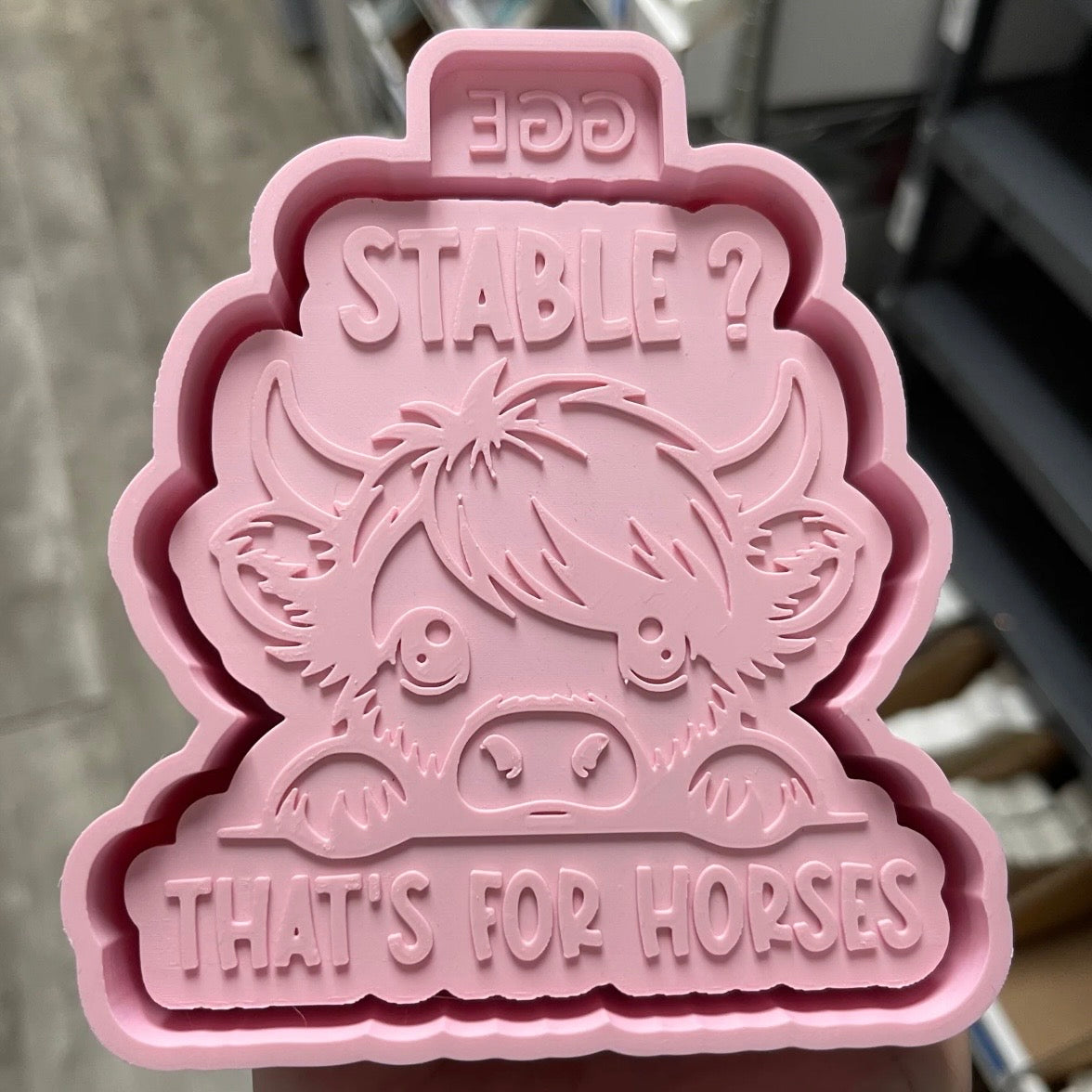 Stable? That's For Horses - Freshie
