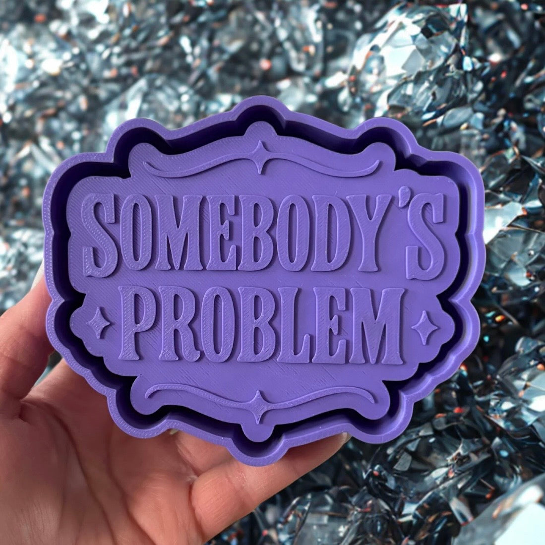 Somebody's Problem - Freshie
