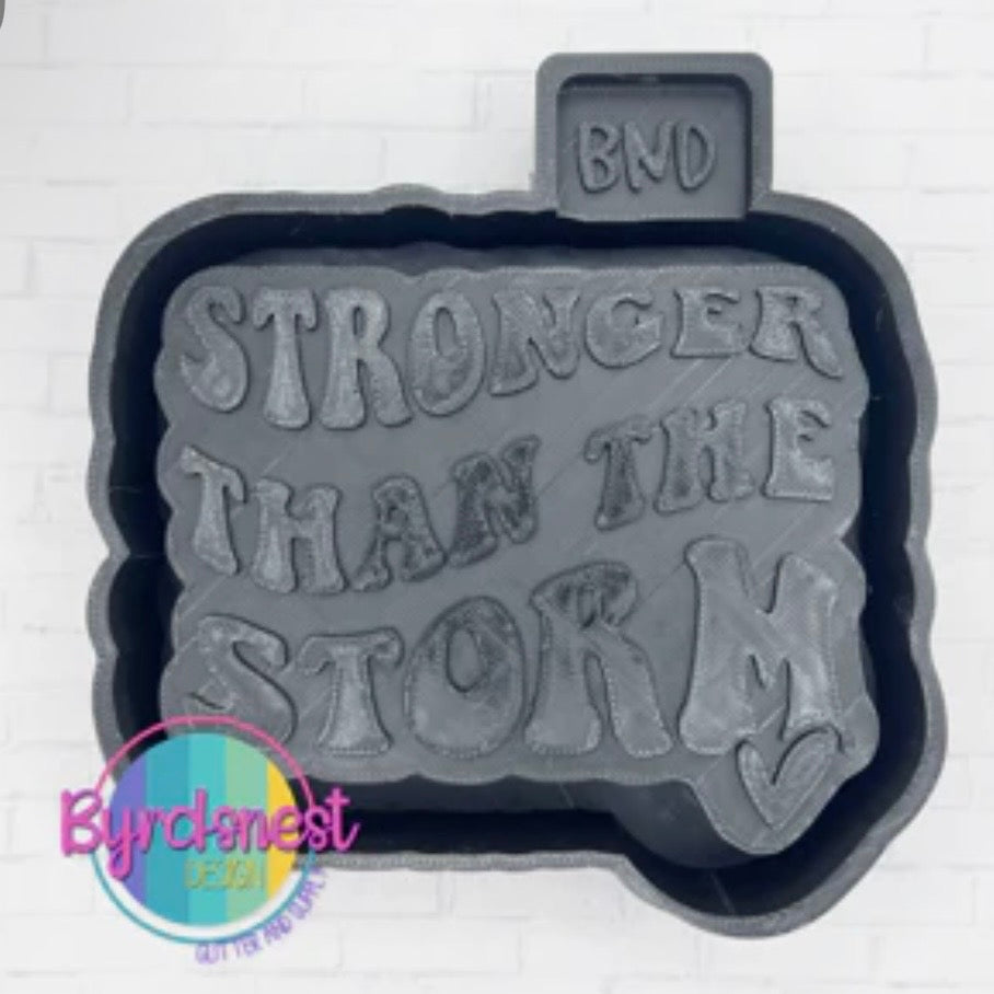 Stronger Than The Storm - Freshie