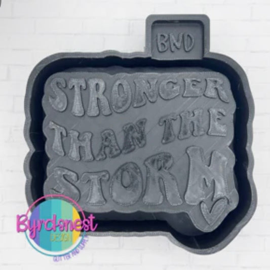 Stronger Than The Storm - Freshie