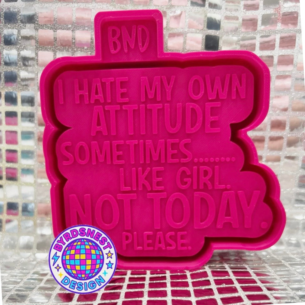 I Hate My Own Attitude - Freshie