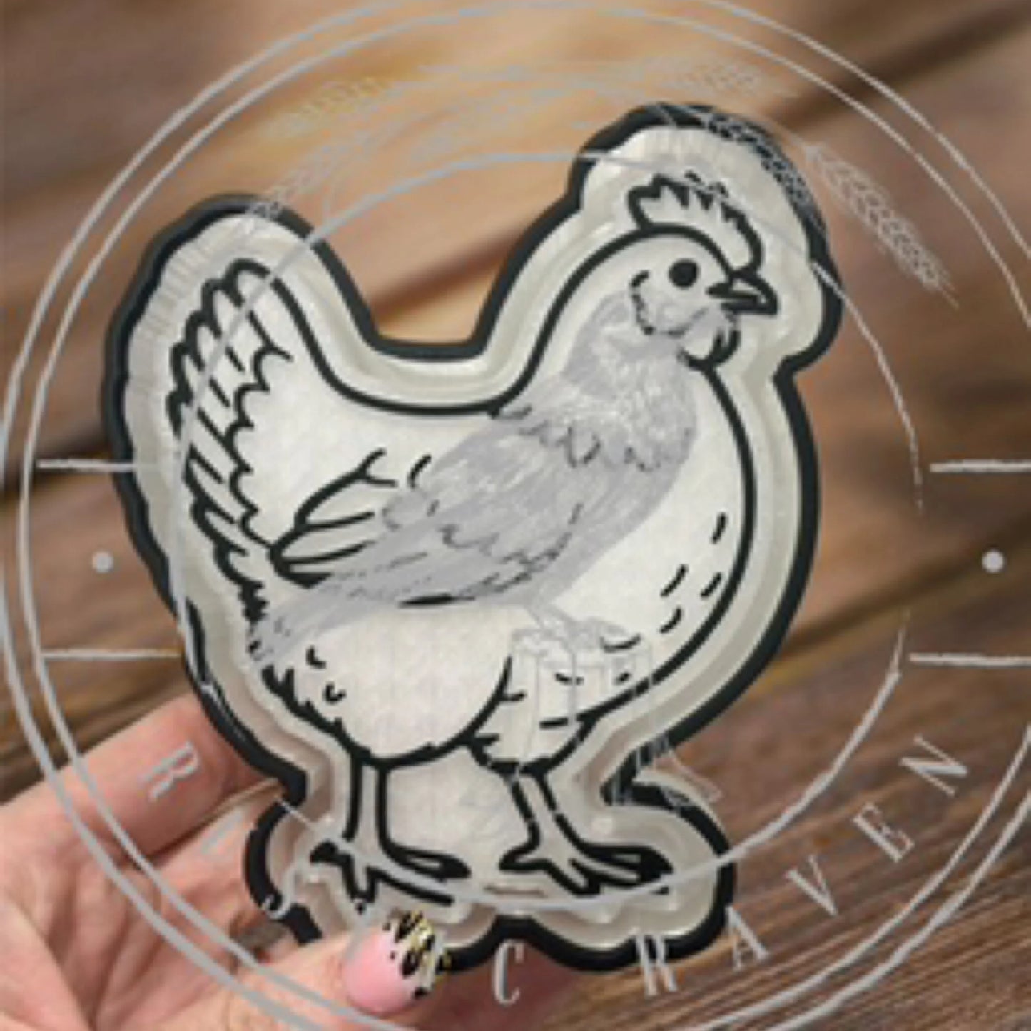 Show Chicken - Freshie